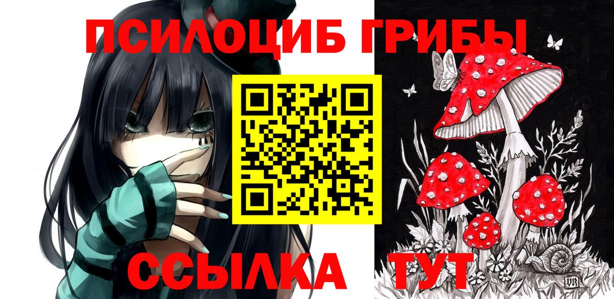 Назрань  Псилоцибиновые грибы Cubensis  Вход с VPN  Псилоцибиновые грибы ЛСД 